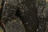 Septarian Dragon Egg Geode - Black Crystals #137934-2